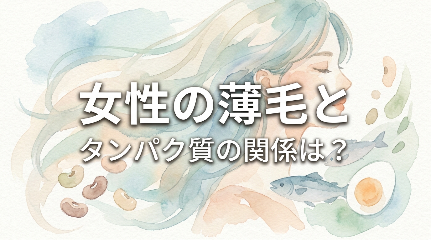 女性の薄毛とタンパク質の関係は？